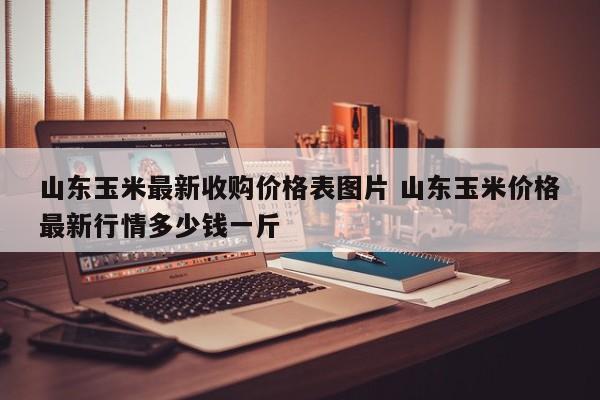 山东玉米最新收购价格表图片 山东玉米价格最新行情多少钱一斤