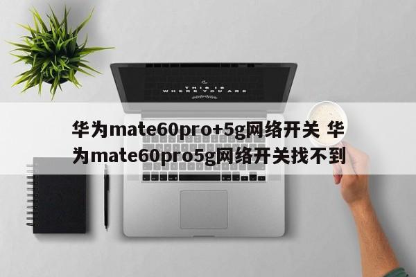 华为mate60pro+5g网络开关 华为mate60pro5g网络开关找不到