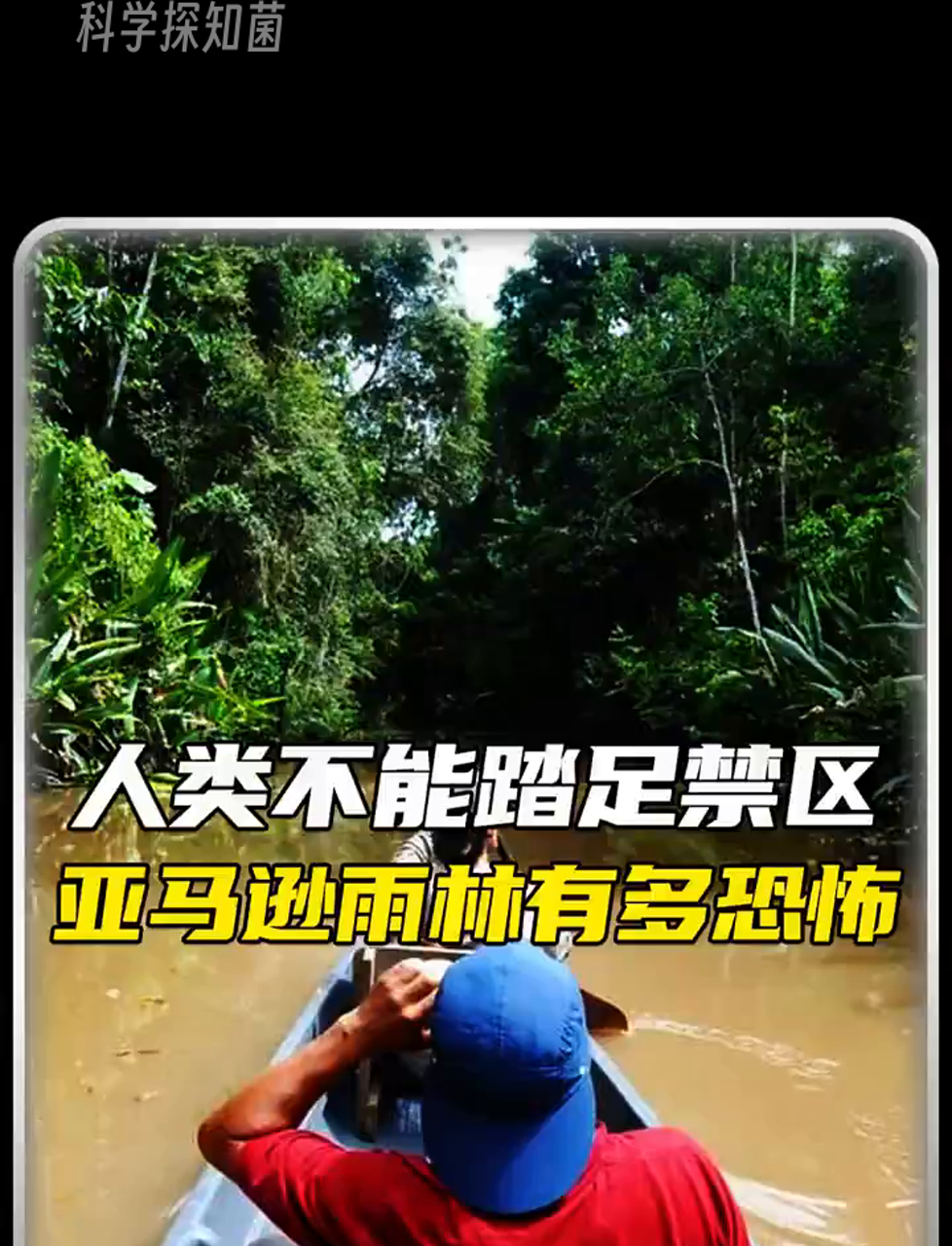 《巴西雨林惊现"会走路的树"：监测显示夜间移动最大距离达17米》