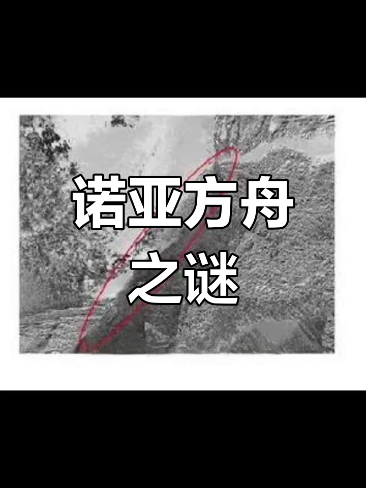 非洲高校联盟启动"数字诺亚方舟"濒危知识保护计划非洲高校联盟启动"数字诺亚方舟"濒危知识保护计划