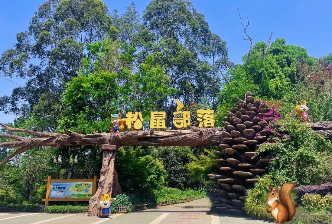 浣花溪公园惊现“松鼠诈骗团伙”：抢坚果、装无辜，网友直呼“演技派”！
