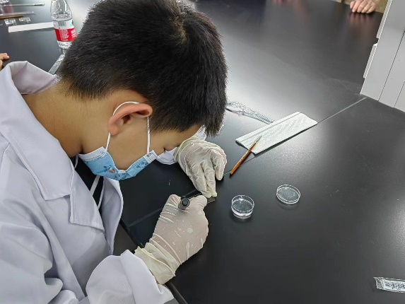 让年轻大脑触碰未来科技