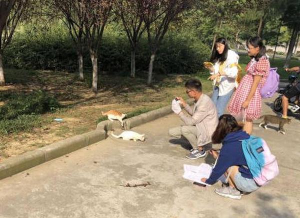 大学生自主研发'校园流浪猫智能投喂系统'获千万风投关注
