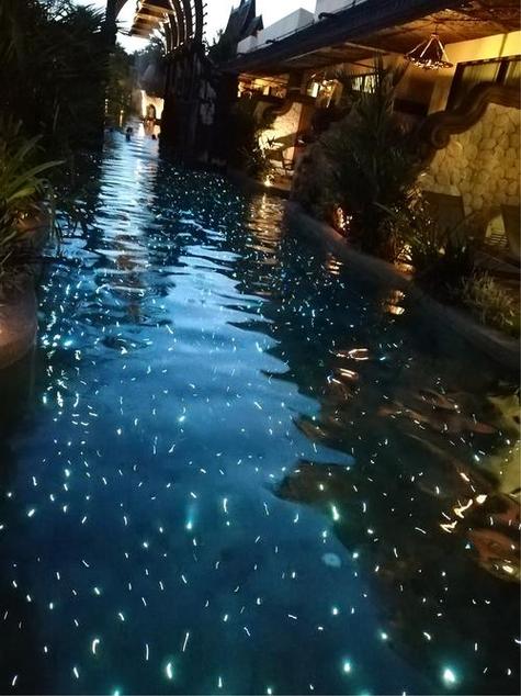 福建土楼惊现"星空泳池"，成小红书最新打卡圣地 