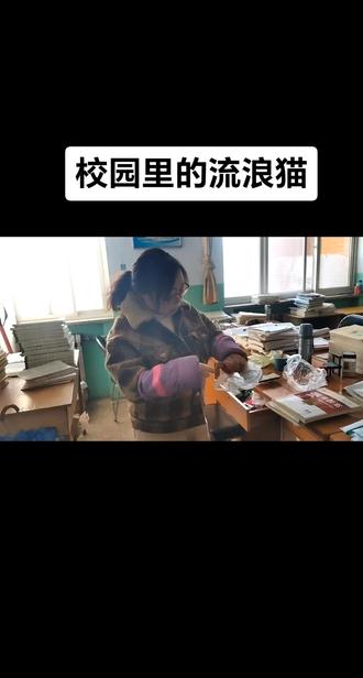 "校园流浪猫有了‘编制’：动保社团的暖心计划"