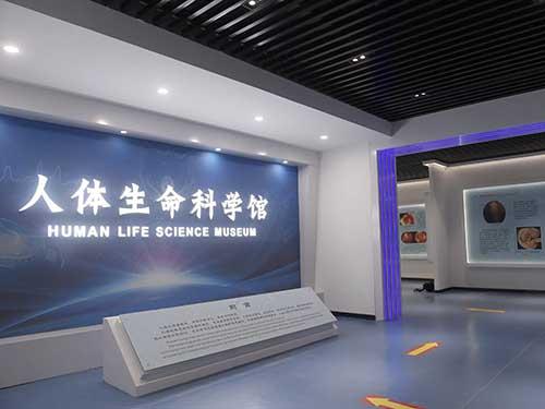 医学院用《我的世界》搭建人体器官探索系统