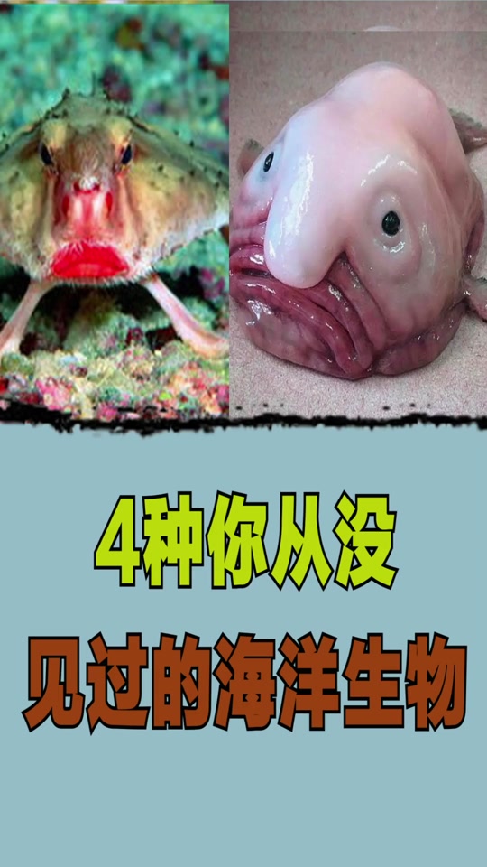 af4202709b701697e7a462b4ec98d895.jpeg