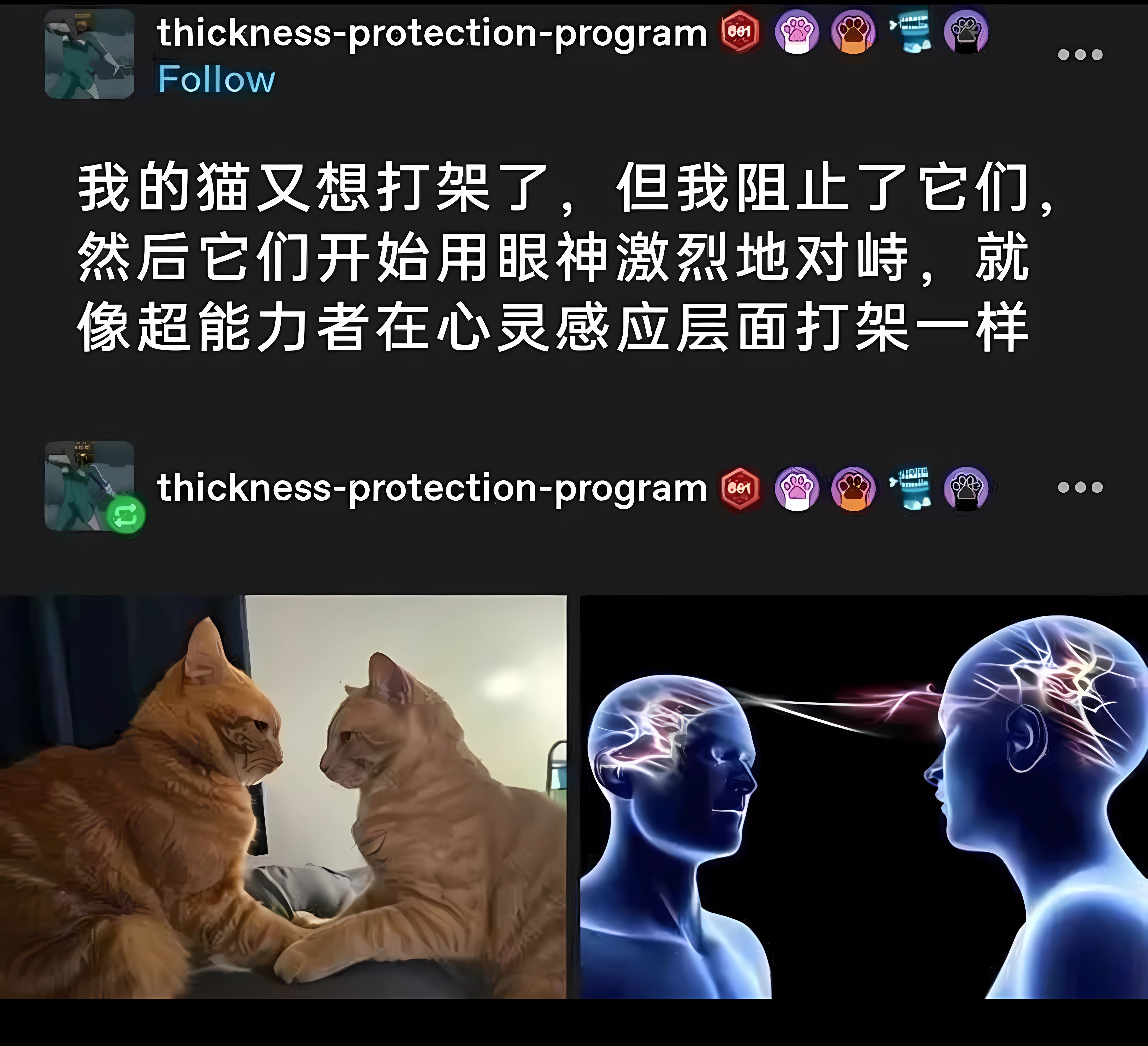 f0b53c90d600ba5ad04d39ca7eab0fa3.jpeg