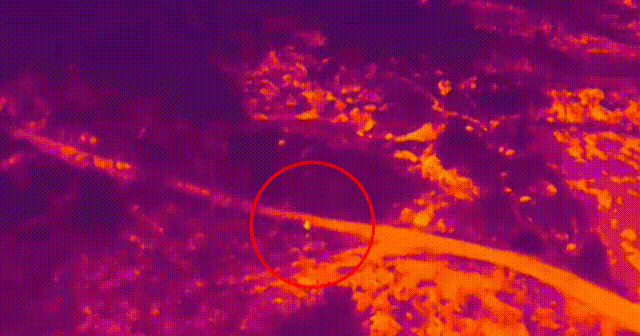 4d0a2ec3f1af4ab4d819a405c0efc4e4.gif