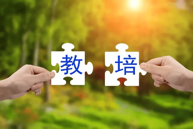 ‌“双减”政策落地一周年，教培行业转型成效几何？