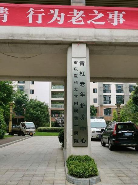 重庆医科大学设护养中心，老年消费券发放超4.9万张