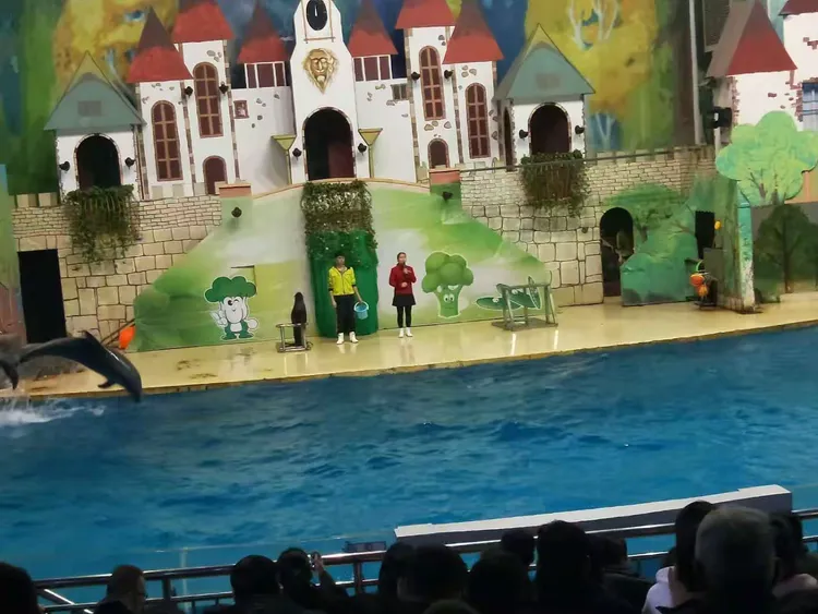 台州海洋世界：看海底生物表演
