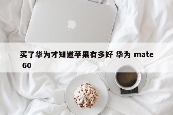 买了华为才知道苹果有多好 华为 mate 60