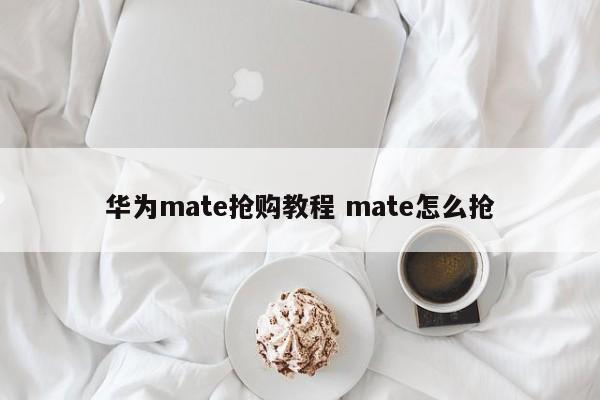 华为mate抢购教程 mate怎么抢