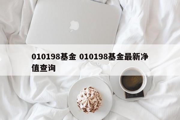 010198基金 010198基金最新净值查询