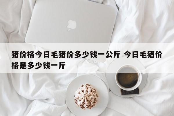 猪价格今日毛猪价多少钱一公斤 今日毛猪价格是多少钱一斤