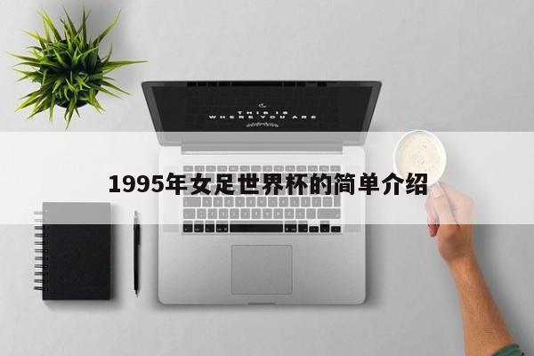 1995年女足世界杯的简单介绍