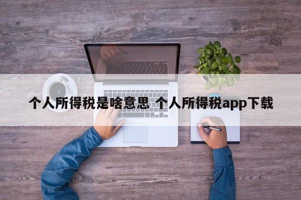 个人所得税是啥意思 个人所得税app下载