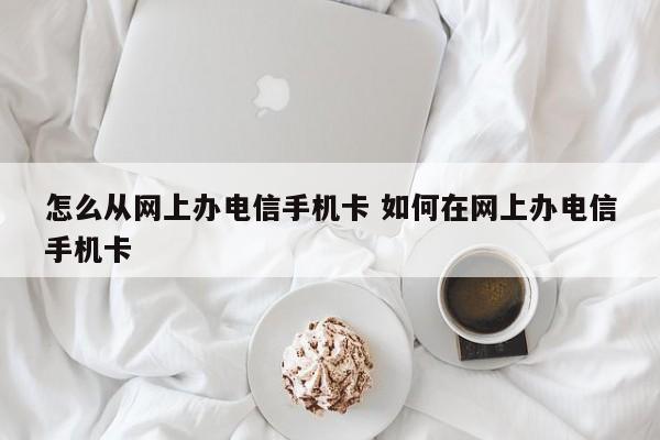 怎么从网上办电信手机卡 如何在网上办电信手机卡