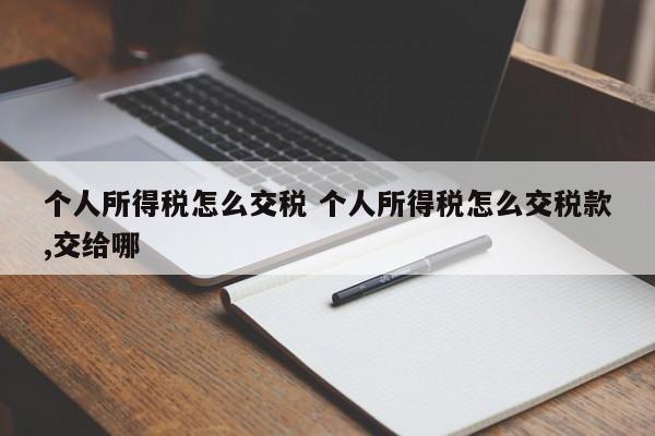 个人所得税怎么交税 个人所得税怎么交税款,交给哪