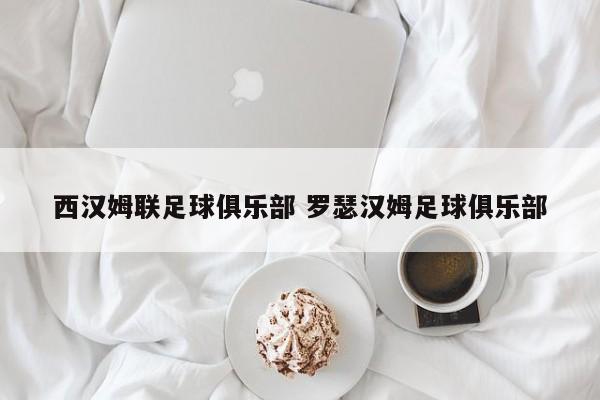 西汉姆联足球俱乐部 罗瑟汉姆足球俱乐部