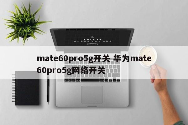 mate60pro5g开关 华为mate60pro5g网络开关