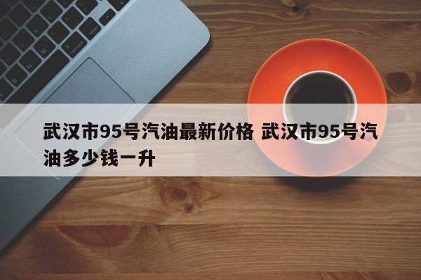 武汉市95号汽油最新价格 武汉市95号汽油多少钱一升