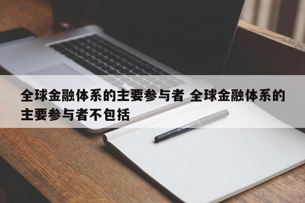 全球金融体系的主要参与者 全球金融体系的主要参与者不包括