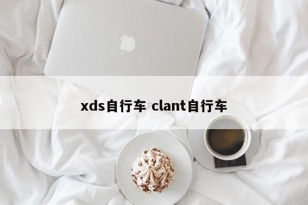 xds自行车 clant自行车