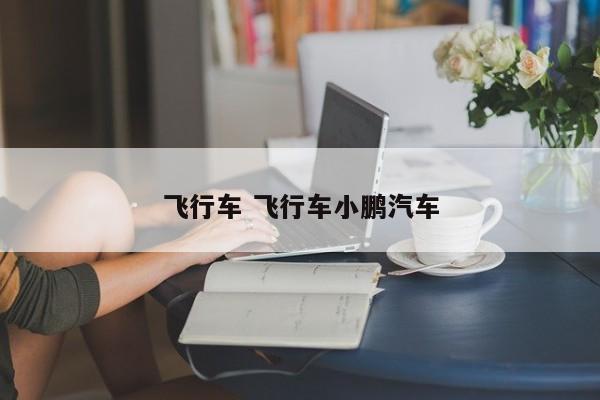 飞行车 飞行车小鹏汽车