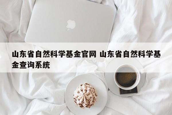 山东省自然科学基金官网 山东省自然科学基金查询系统