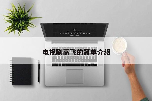 电视剧高飞的简单介绍