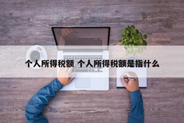 个人所得税额 个人所得税额是指什么