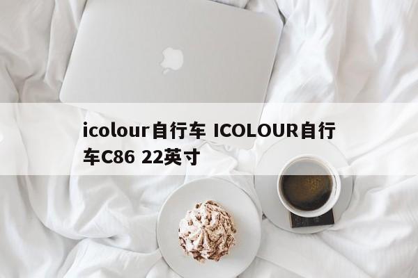 icolour自行车 ICOLOUR自行车C86 22英寸